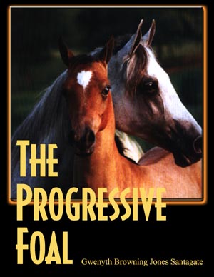 the progressive foal