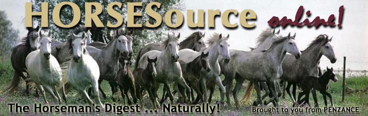 HorseSource logo
