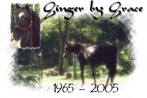 Ginger by Grace of Penzance