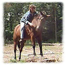 Training Horses Naturally!