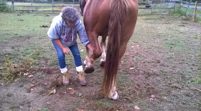 The MOST Important …