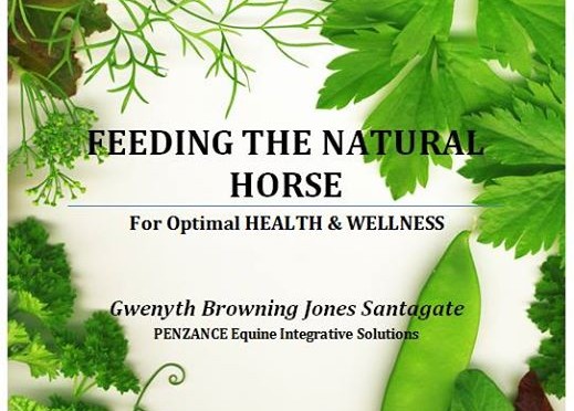 feeding the natural horse