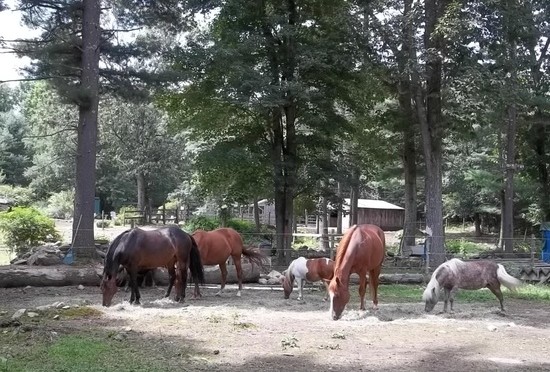 CYBER MONDAY SPECIAL!