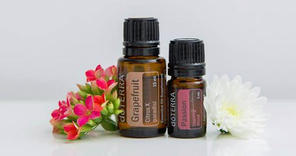 SPRINGTIME on the FARM!