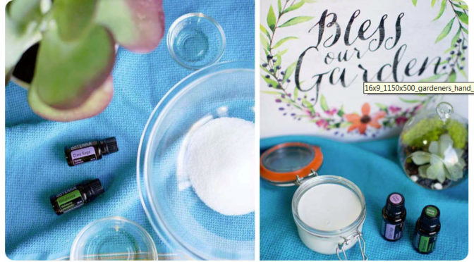 Your Horse’s HERB GARDEN