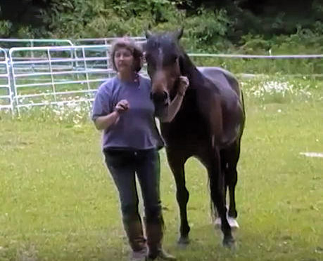 Do You Give Your Horse a Choice?